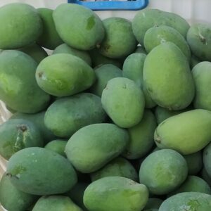 انبه کال و سبز ٥ کیلویی