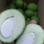 انبه عمده کال بدون هسته